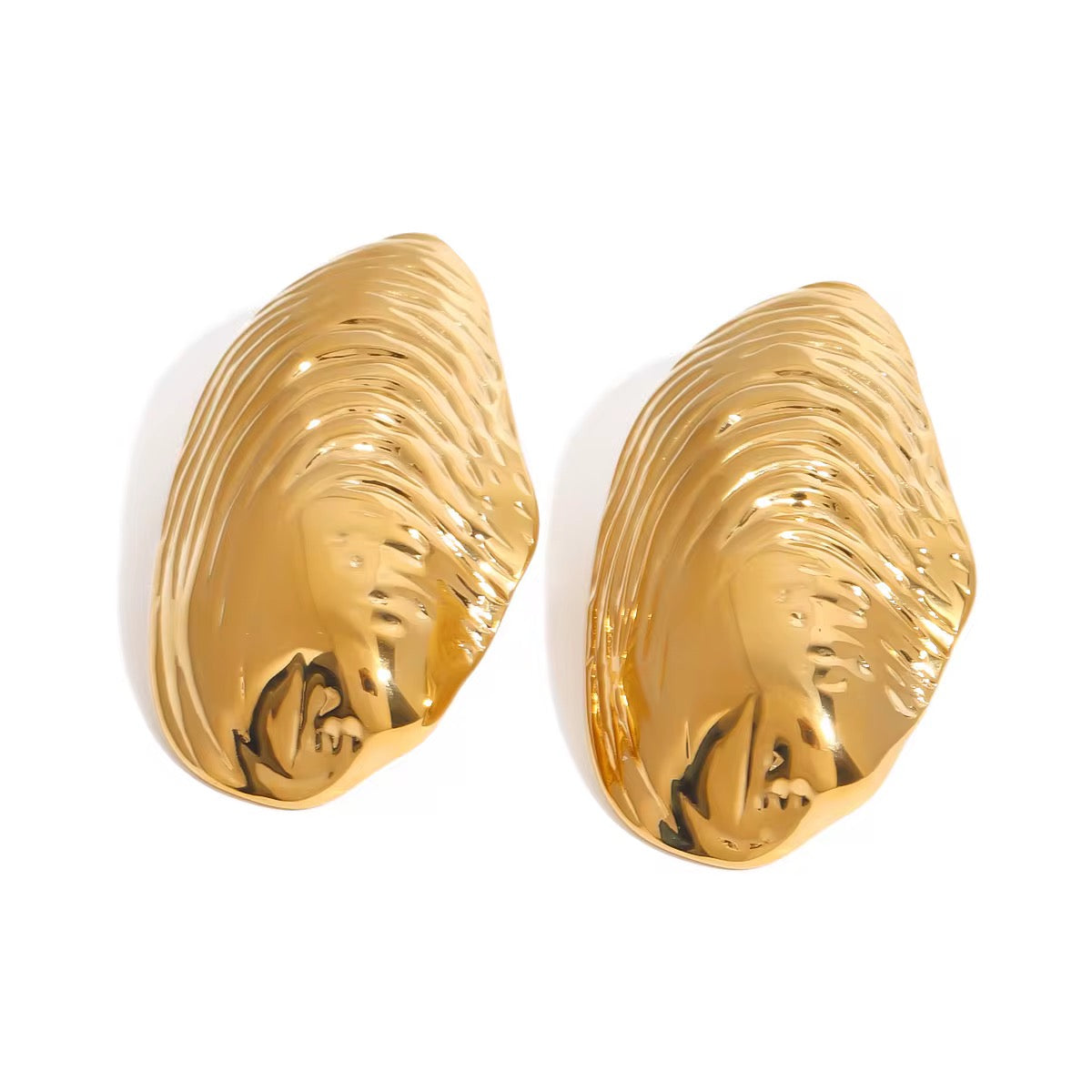 Shell Earrings Stainless Steel